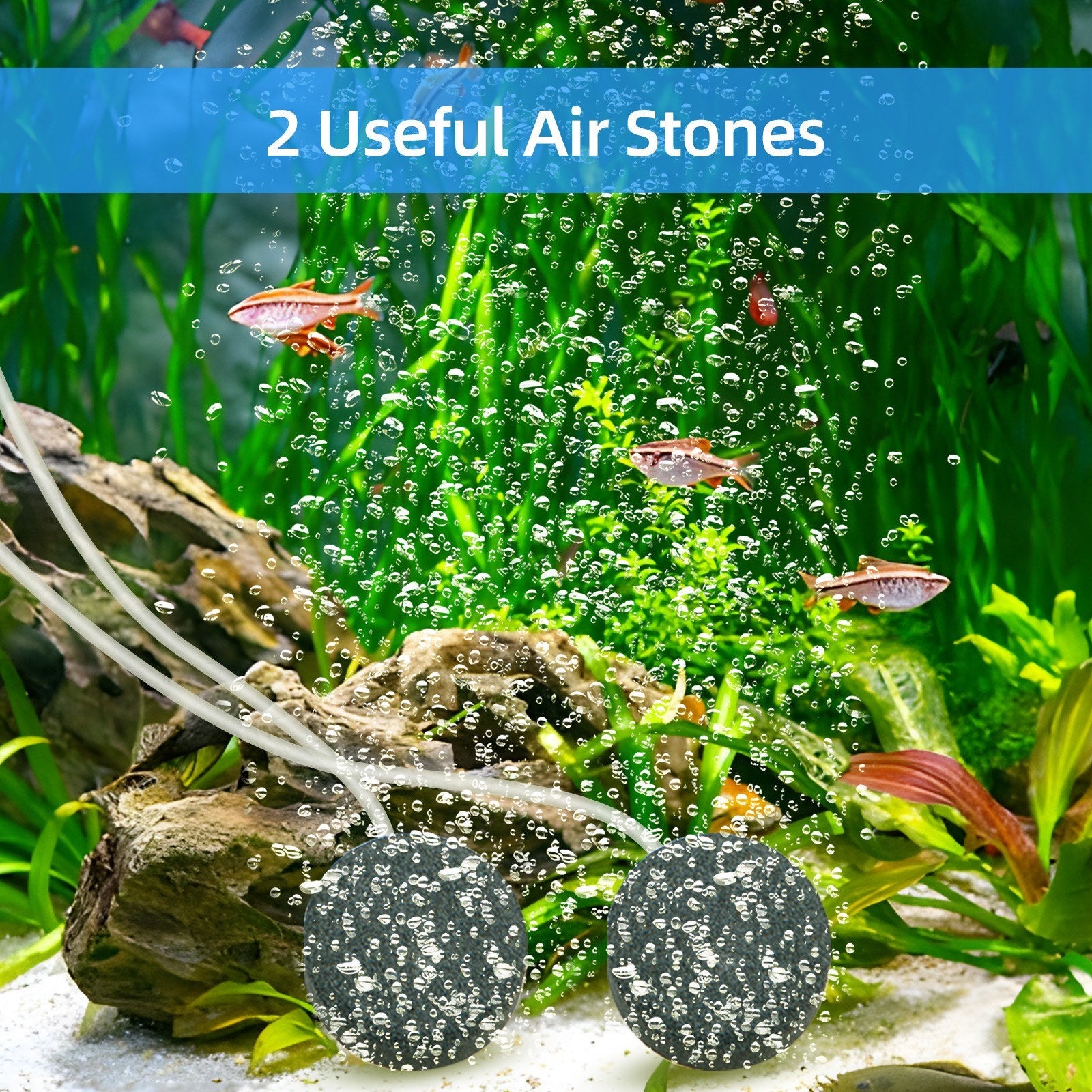 Solar Pond Aerator with 4W Air Pump, 3 Modes, No Noise, Includes Pipe & 2 Air Stones for Pond, Stock Tank, Fishing, Hydroponics