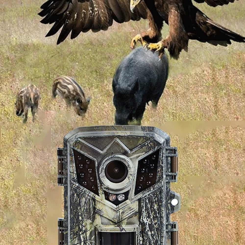 Wildlife Monitoring Trail Camera - IP66, 0.2s Trigger Speed, Night Vision