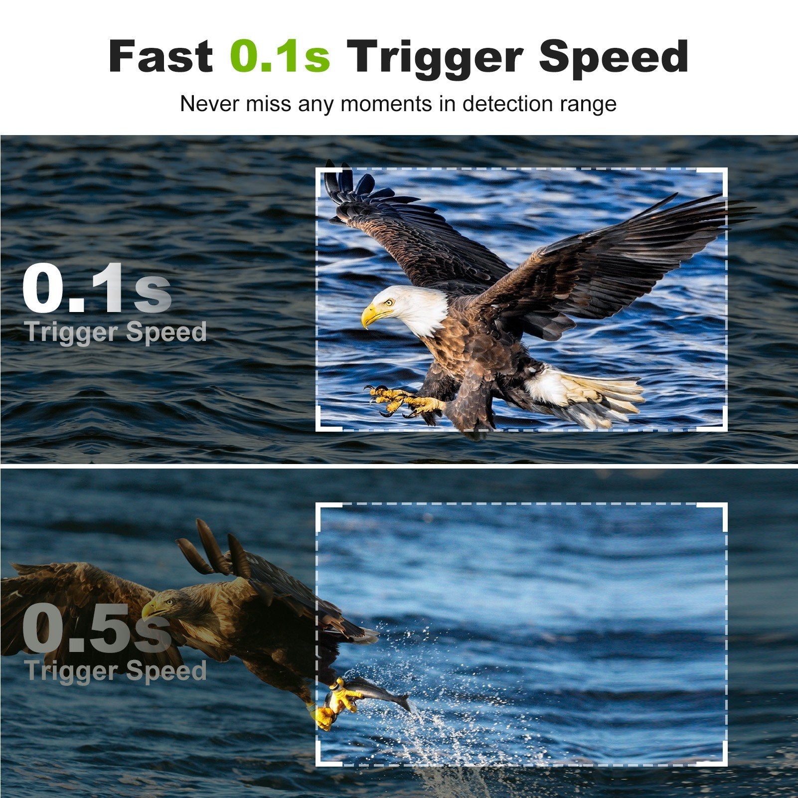 32MP WiFi Hunting & Trail Camera: High-Resolution Wildlife Monitoring, Infrared, IP66 Waterproof, PIR Motion Detection